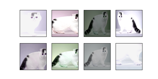 cat结合多种图像增广办法